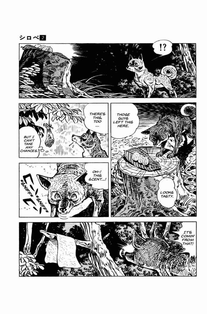 Page 17 Chapter 5 Shirobe
