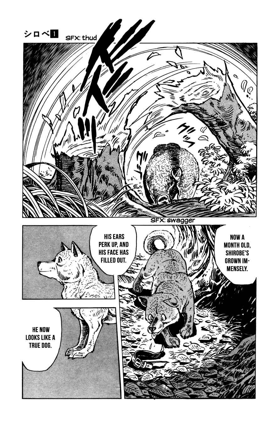 Page 6 Chapter 7 Shirobe