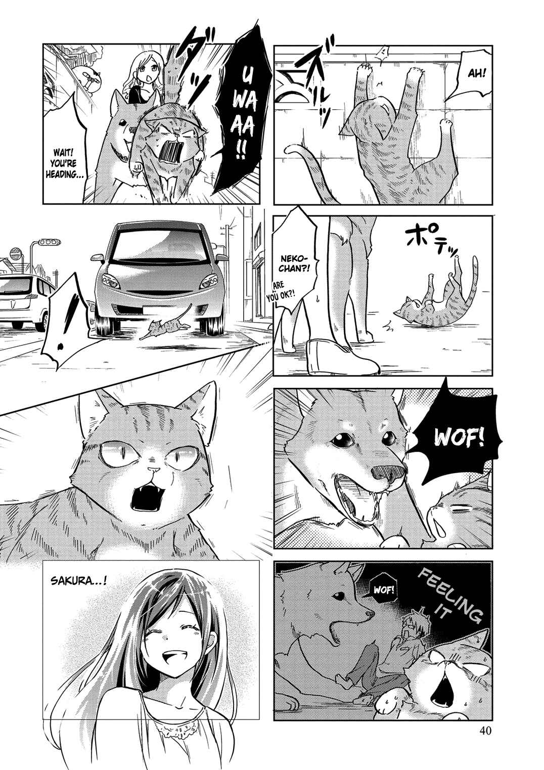 Page 9 Chapter 25 Itoshi no Sakura-san