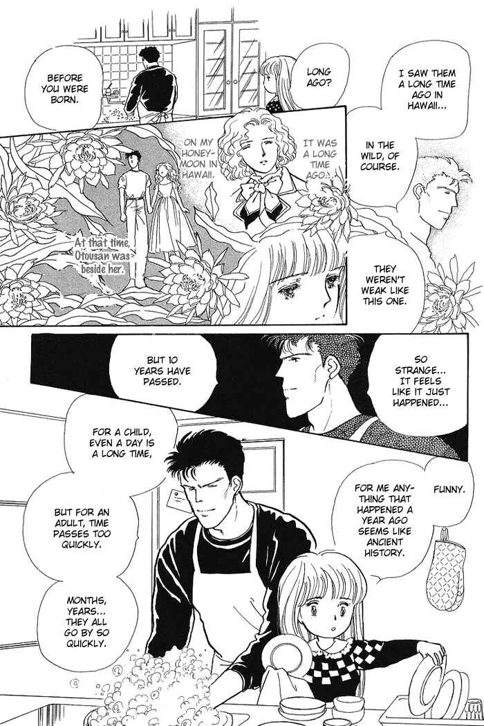 Page 3 Chapter 3 From the City That Never Sleeps