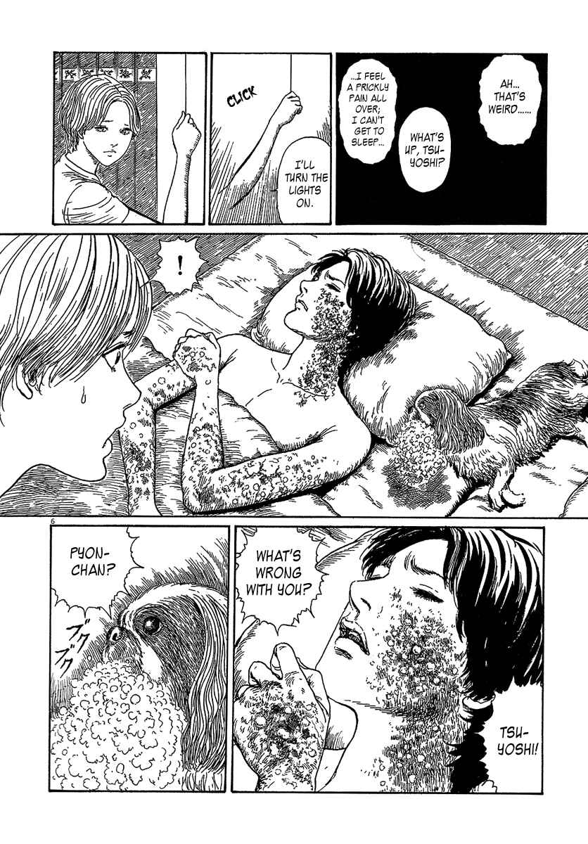 Page 6 Chapter 6.1 Black Paradox