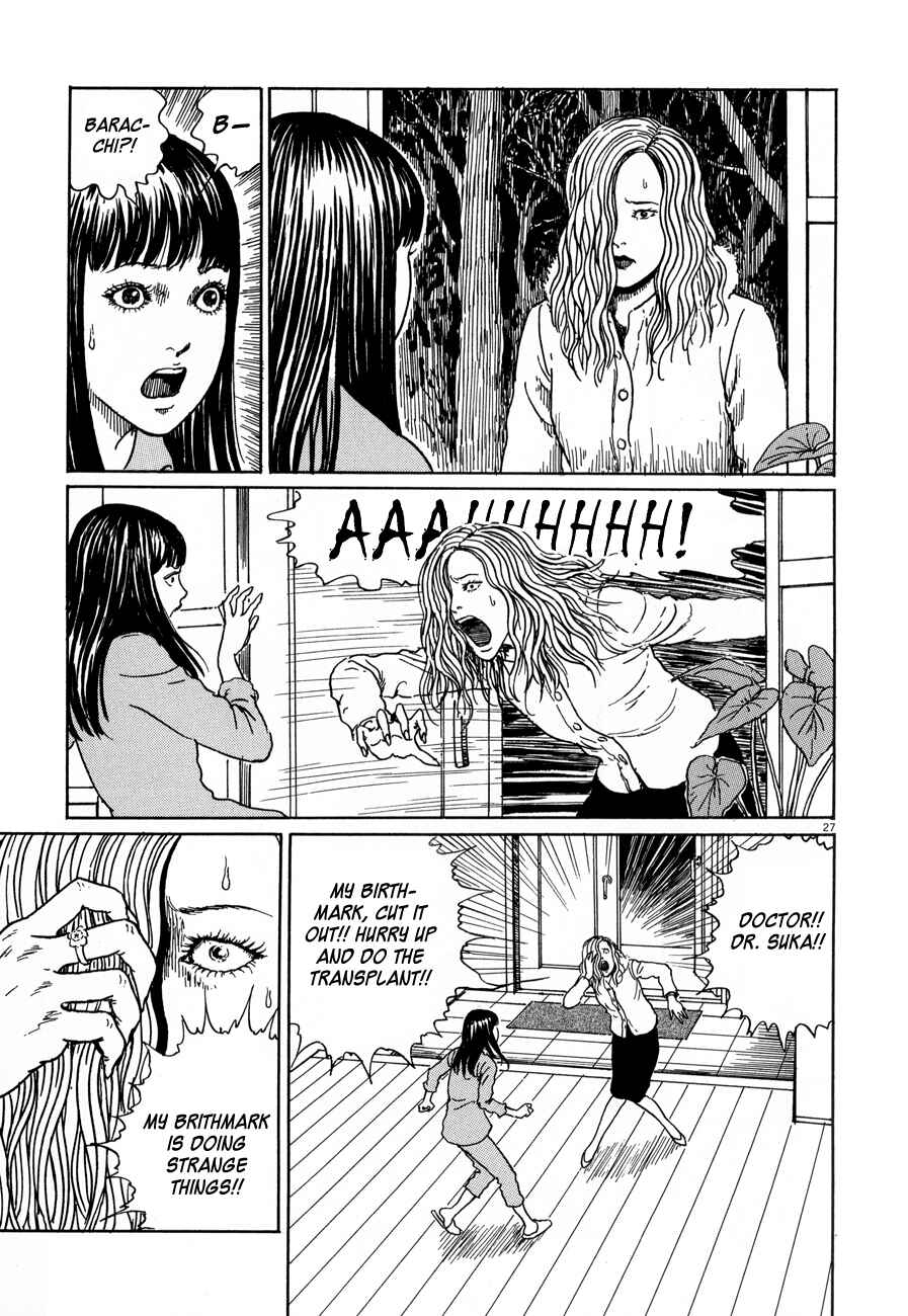 Page 27 Chapter 4 Black Paradox