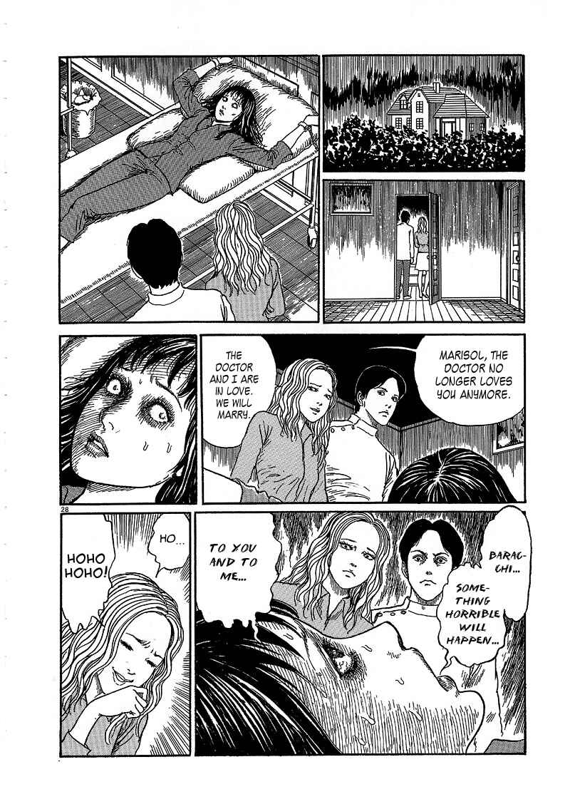 Page 28 Chapter 5 Black Paradox