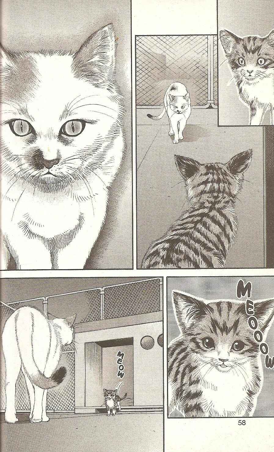 Page 16 Chapter 55 Inubaka
