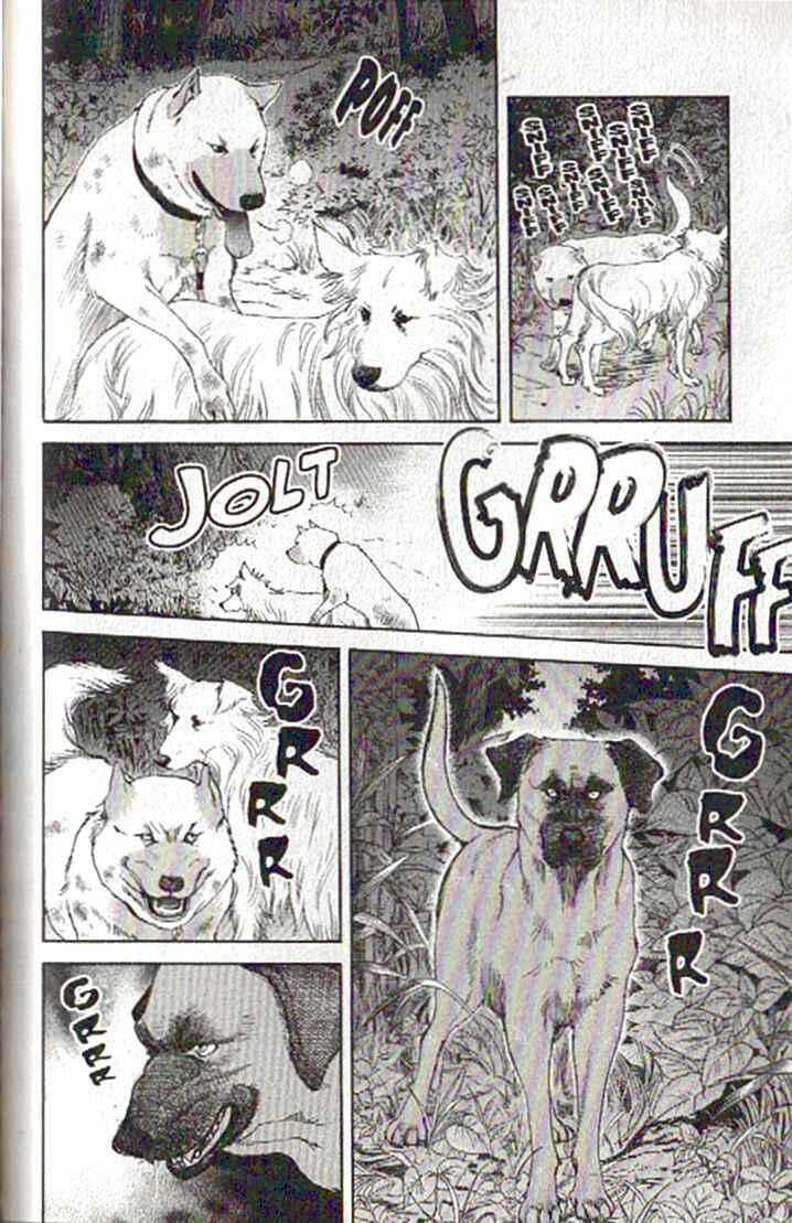 Page 15 Chapter 81 Inubaka