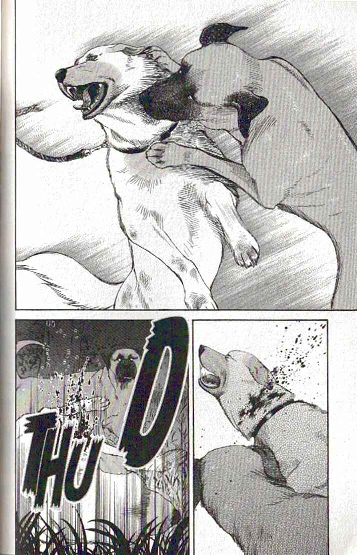Page 17 Chapter 81 Inubaka