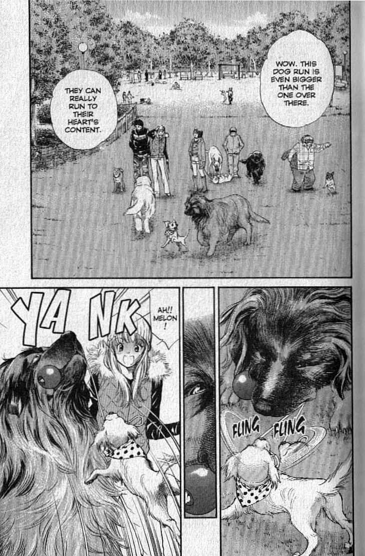 Page 11 Chapter 142 Inubaka