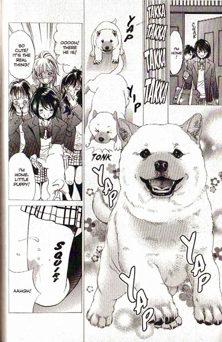 Page 14 Chapter 100 Inubaka