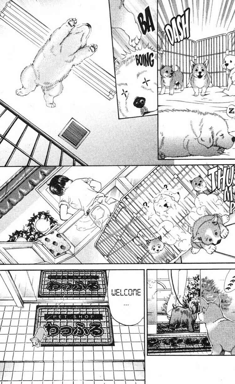 Page 23 Chapter 2 Inubaka