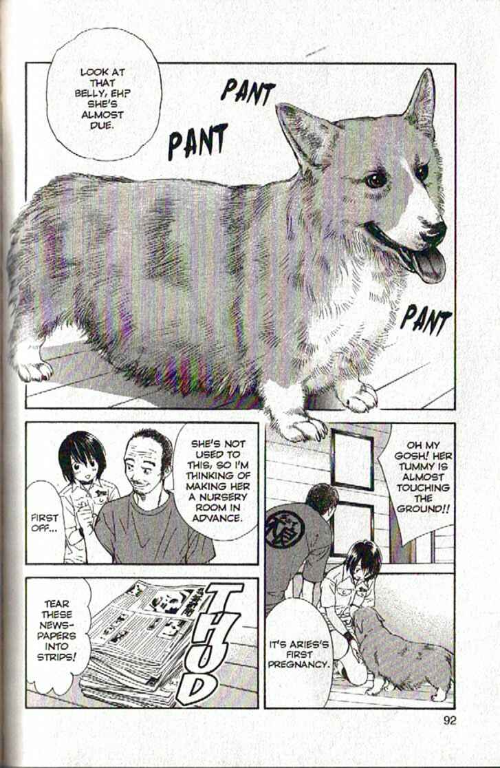 Page 12 Chapter 91 Inubaka