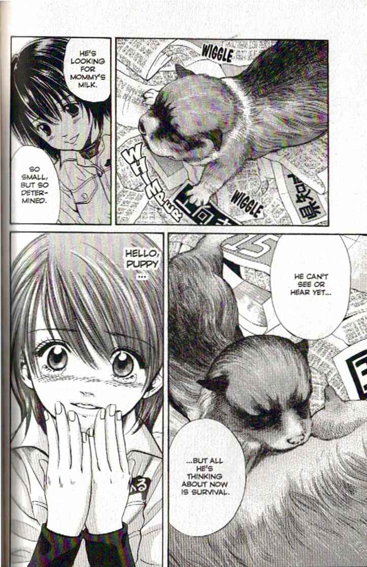 Page 8 Chapter 92 Inubaka