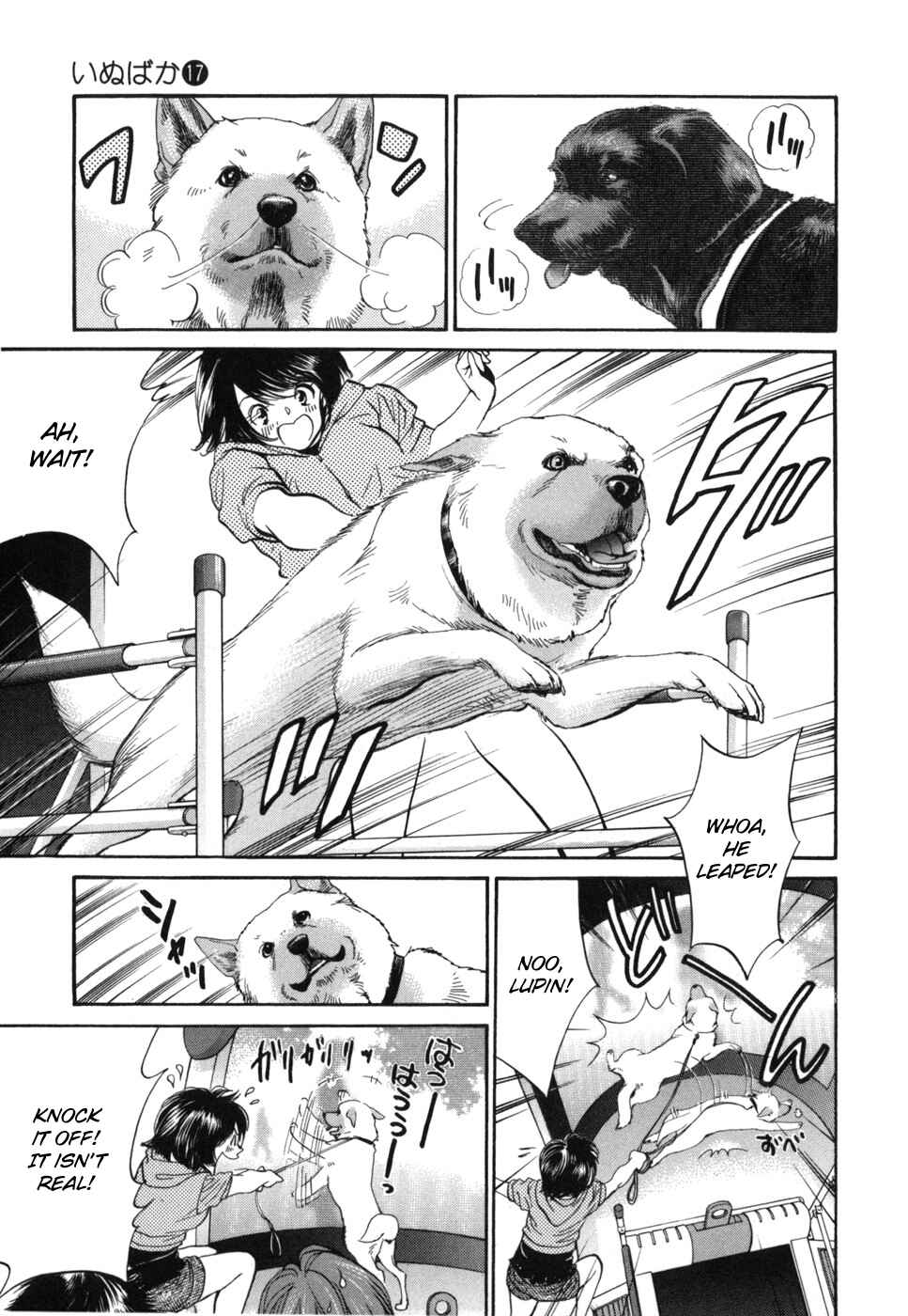 Page 15 Chapter 179 Inubaka