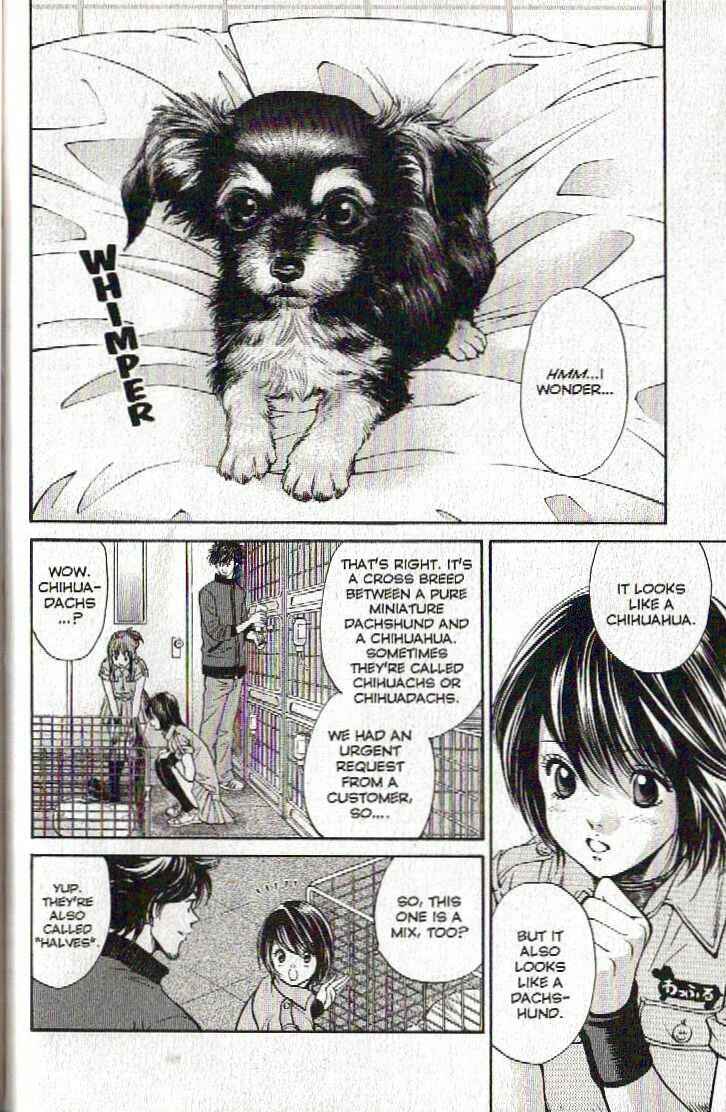 Page 2 Chapter 121 Inubaka
