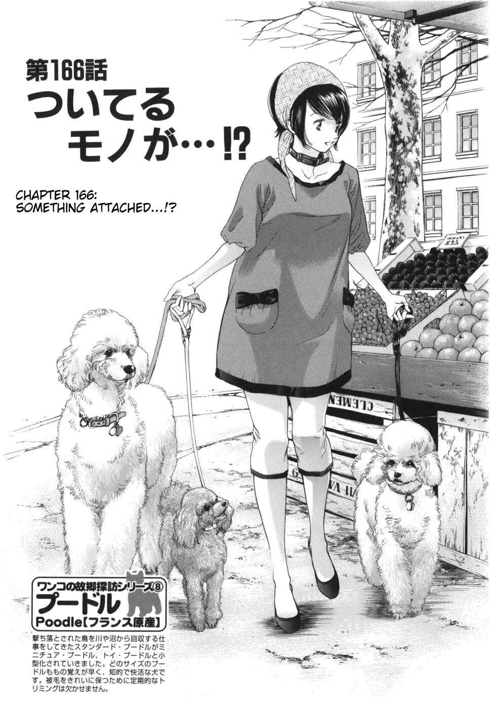 Page 1 Chapter 166 Inubaka