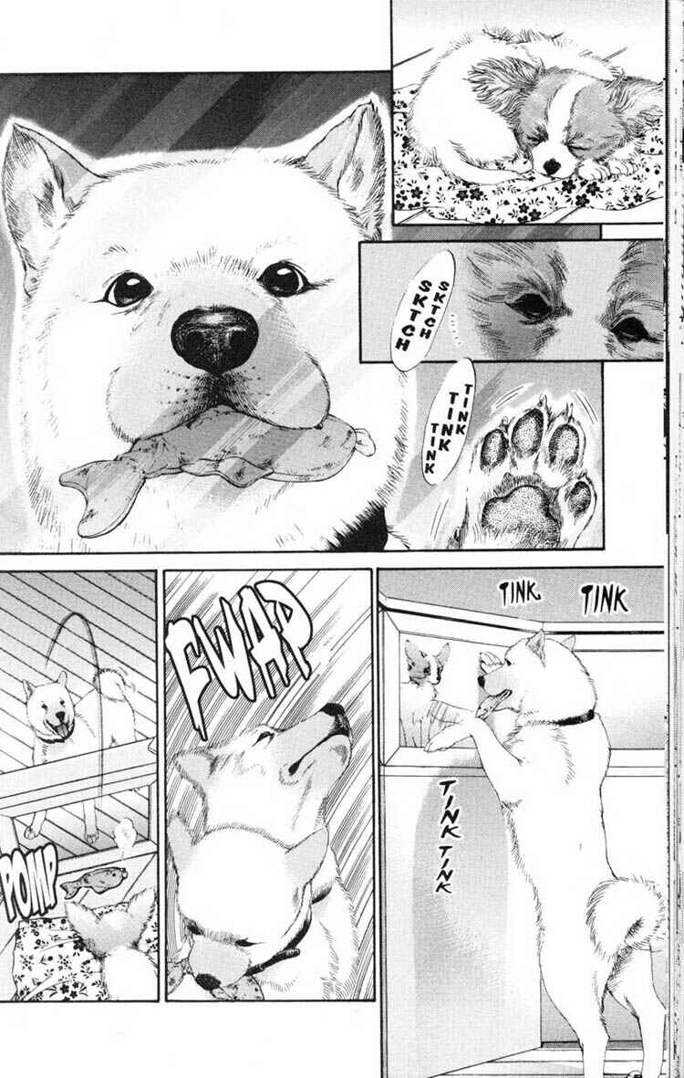 Page 10 Chapter 12 Inubaka