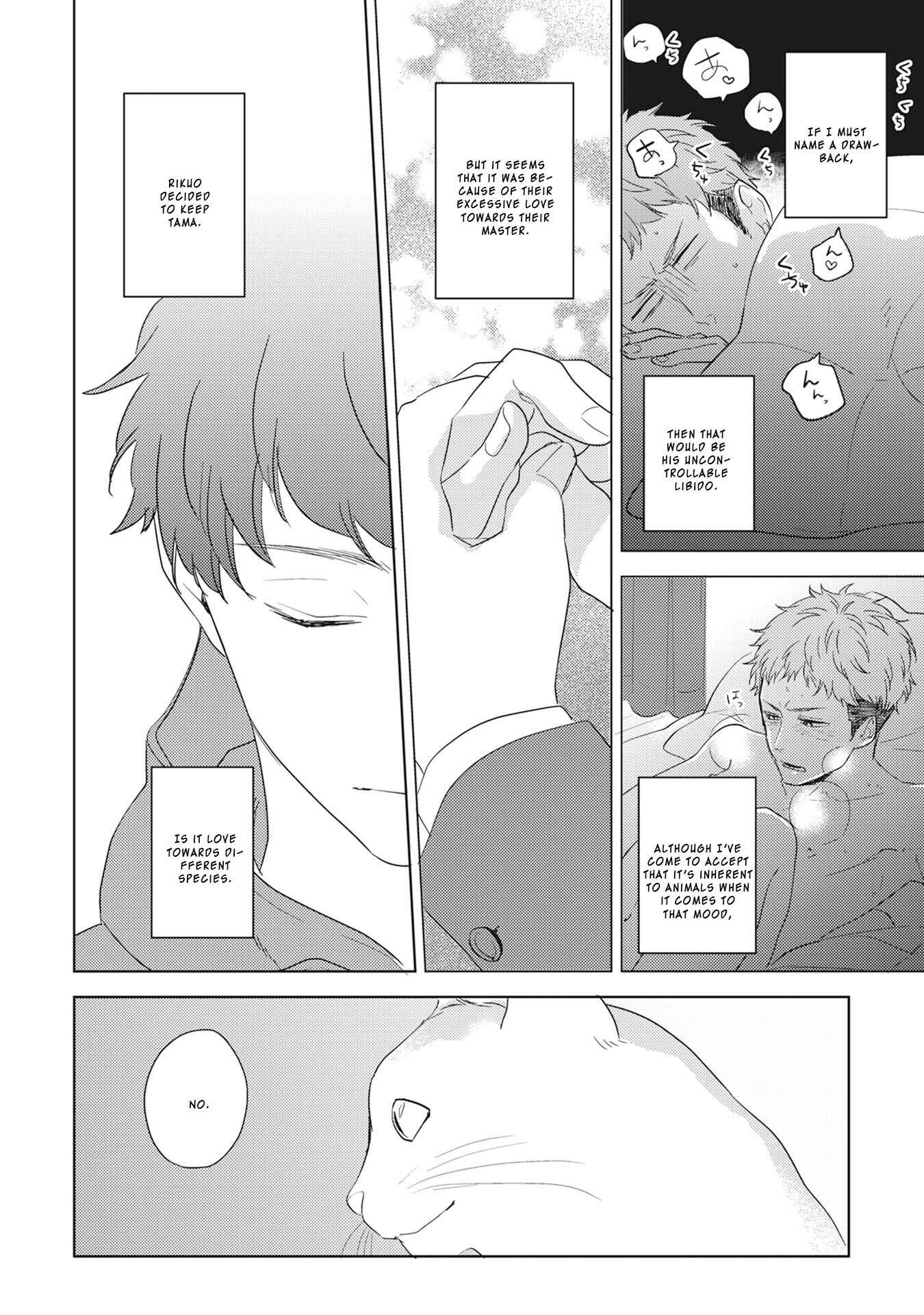 Page 5 Chapter 4 Kimagure Goshujin to Oshikake Neko