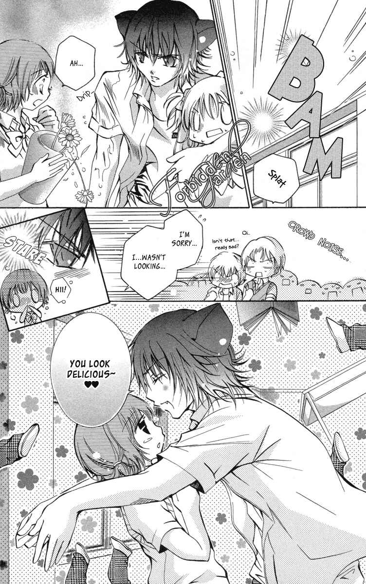 Page 8 Chapter 12 Caramel Kiss