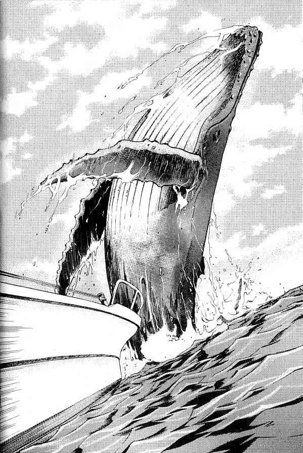 Page 31 Chapter 18 IO