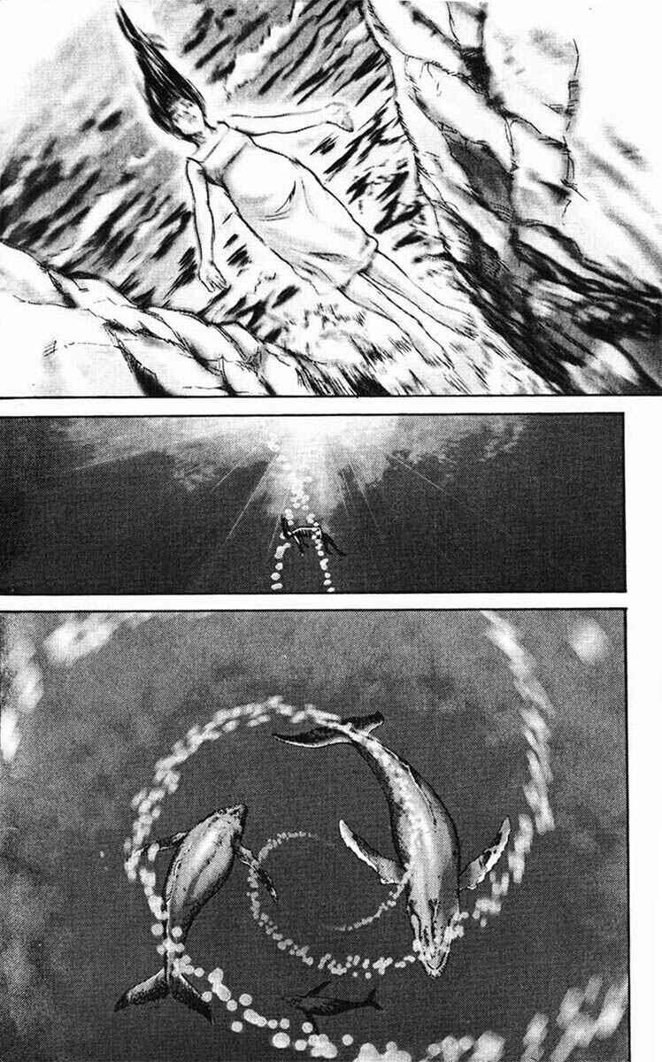 Page 20 Chapter 31 IO