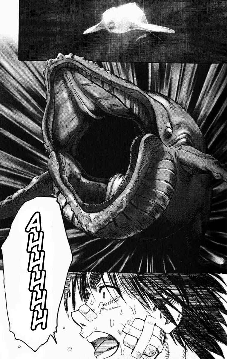 Page 21 Chapter 31 IO