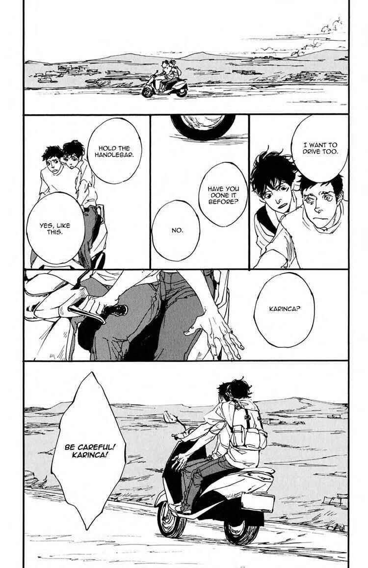 Page 10 Chapter 4 Birds