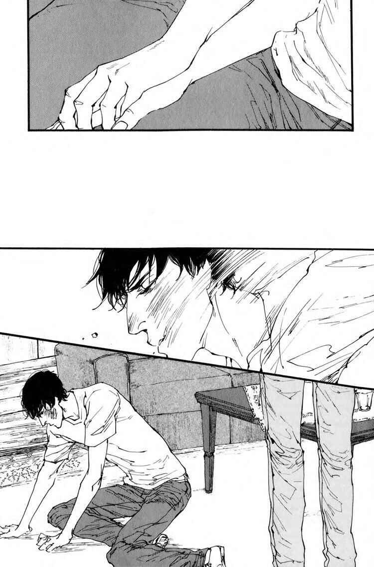 Page 20 Chapter 4 Birds