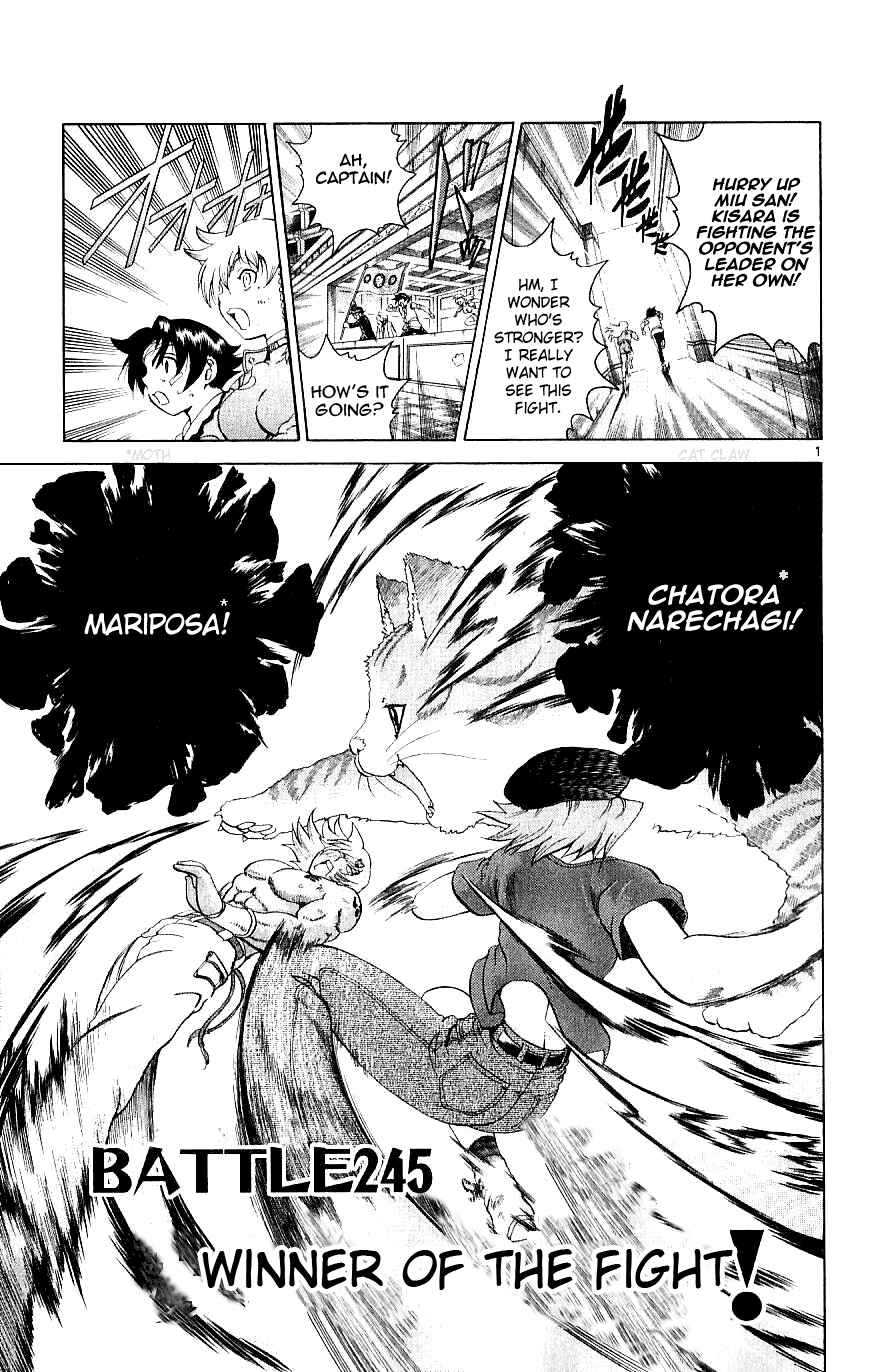 Page 1 Chapter 245 Shijou Saikyou no Deshi Kenichi