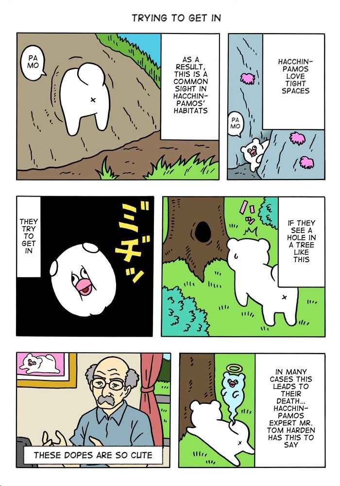 Page 1 Chapter 49 Critically Endangered Animal Hattin Pamos