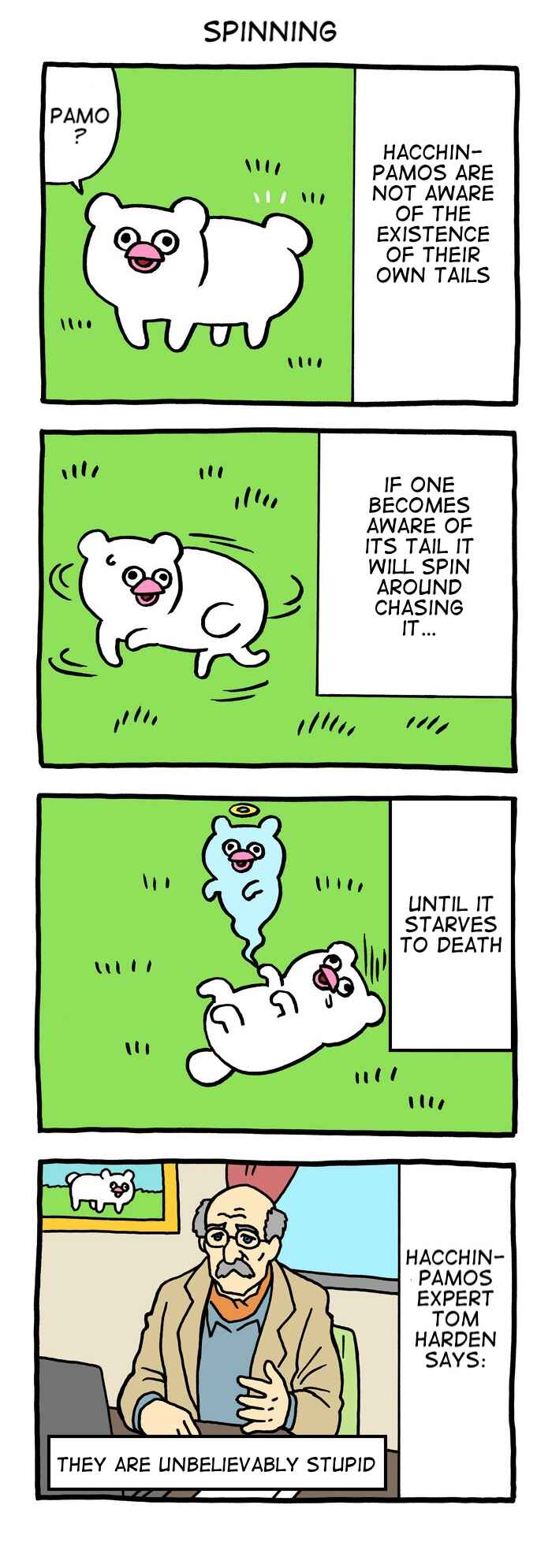Page 1 Chapter 12 Critically Endangered Animal Hattin Pamos