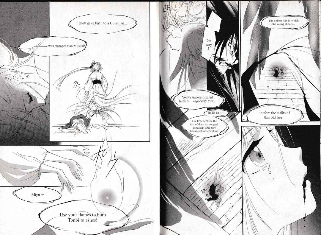 Page 13 Chapter 34 Vampire Princess Miyu: Saku