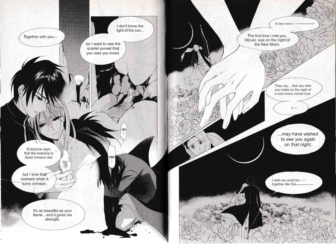 Page 10 Chapter 33 Vampire Princess Miyu: Saku