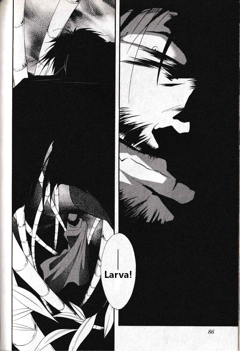 Page 21 Chapter 21 Vampire Princess Miyu: Saku