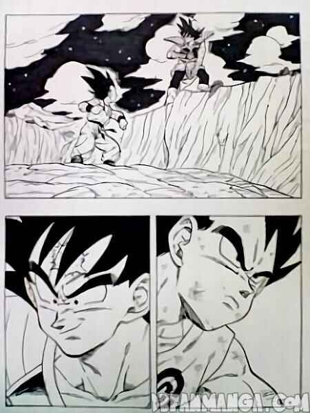 Page 17 Chapter 3 Super Vegeta Den