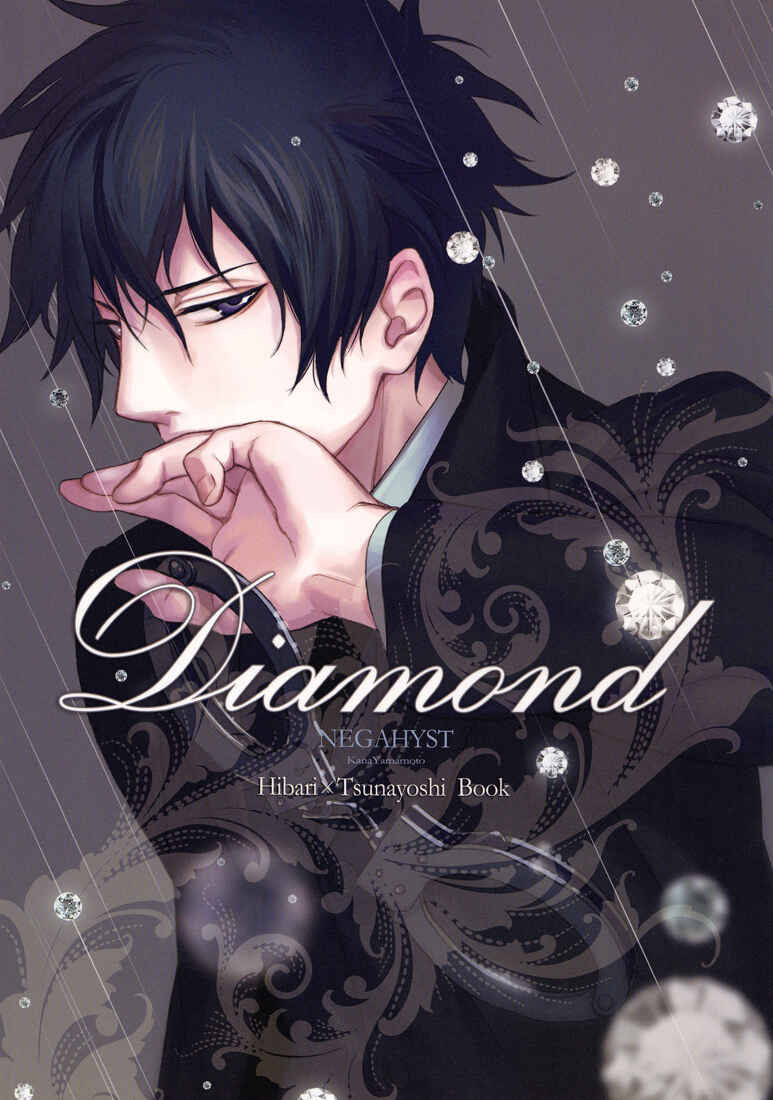 Page 2 Chapter Unknown_6905 Katekyo Hitman Reborn! - Diamond (Doujinshi)