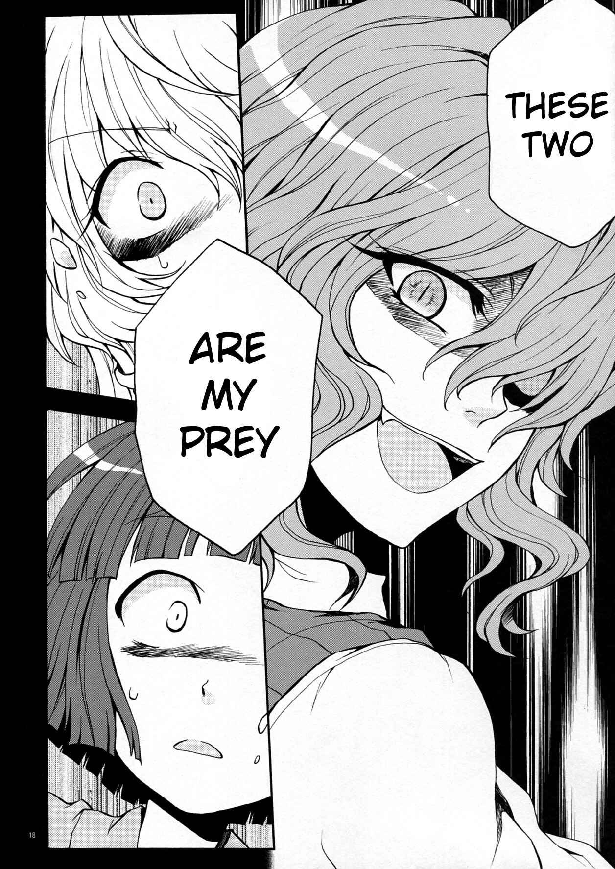 Page 19 Chapter 2 Touhou - Flowers that Bloom from Boundaries (Doujinshi)