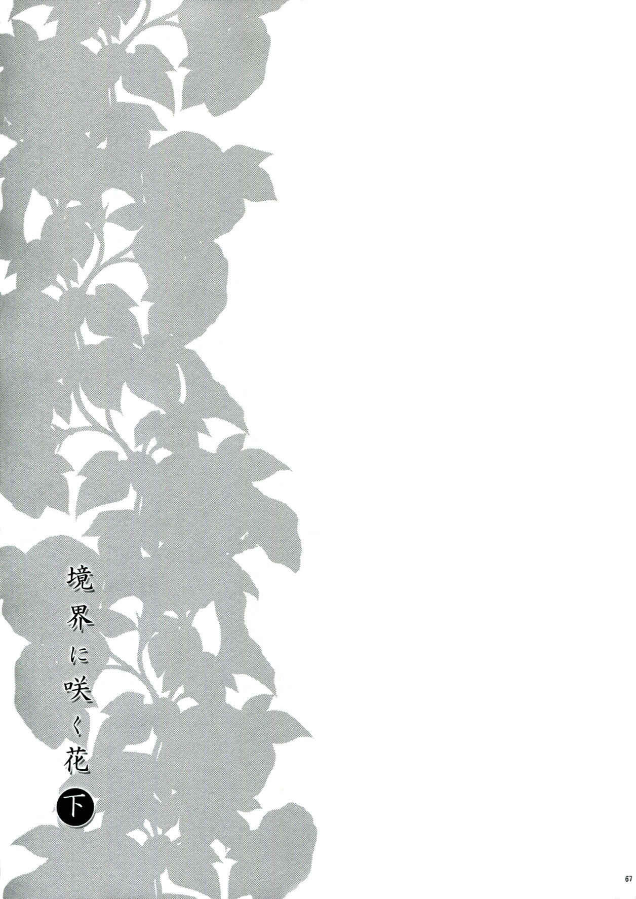 Page 68 Chapter 2 Touhou - Flowers that Bloom from Boundaries (Doujinshi)