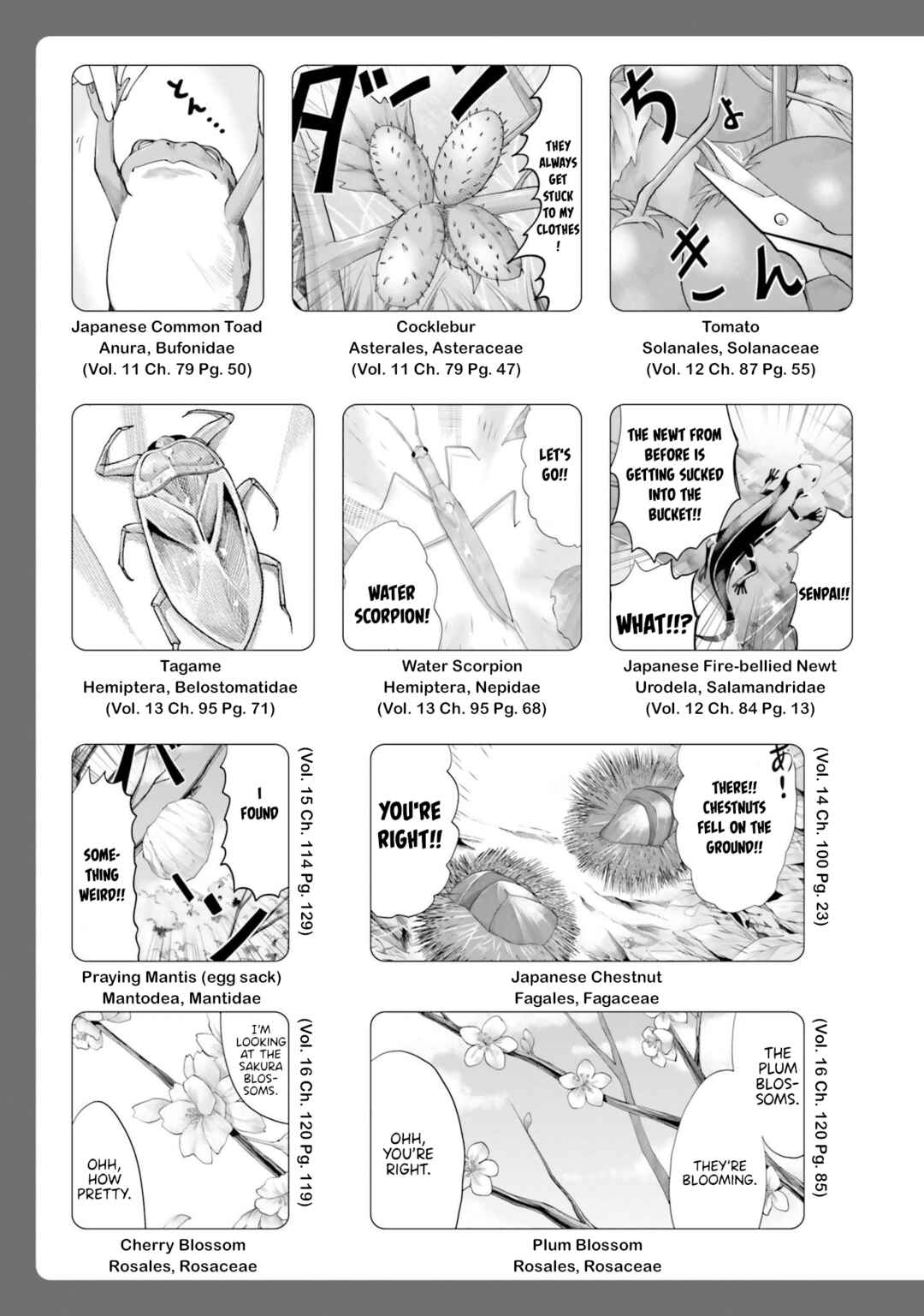 Page 4 Chapter 3.5 Non Non Biyori Remember