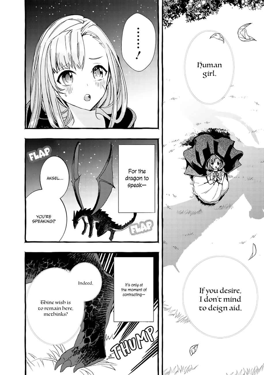 Page 29 Chapter 2 Fuhoni desu ga, Ryuukishidan ga Kahogo desu