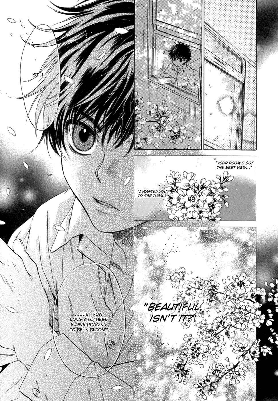 Page 25 Chapter 5 Super Lovers