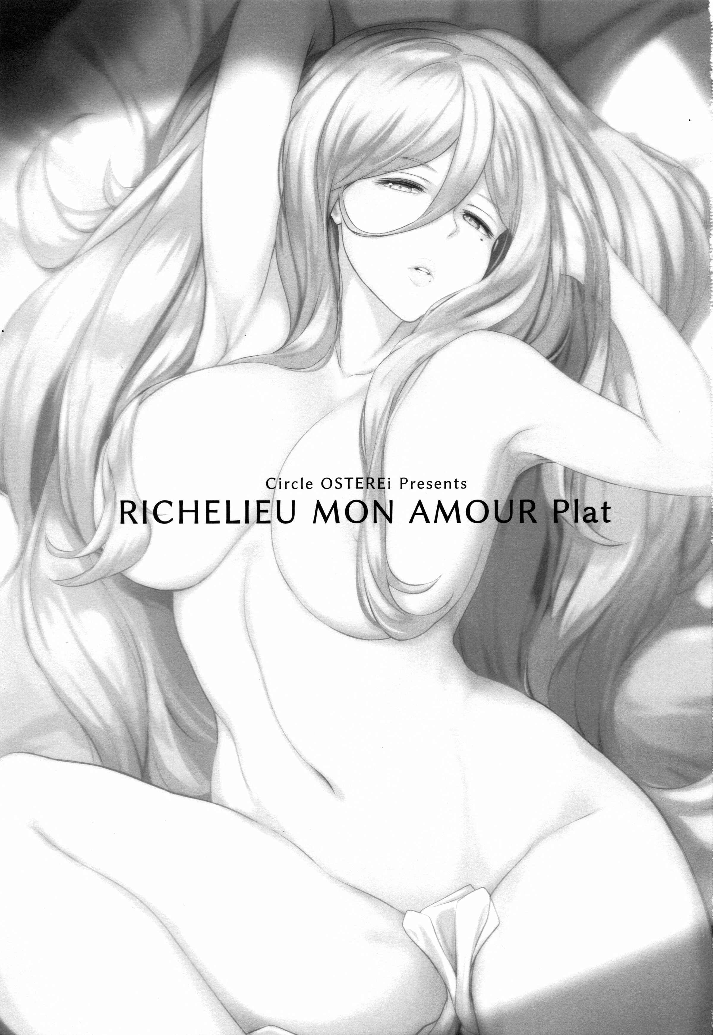 Page 3 Chapter Unknown_2f97 Kantai Collection -KanColle- RICHELIEU MON AMOUR Plat (Doujinshi)
