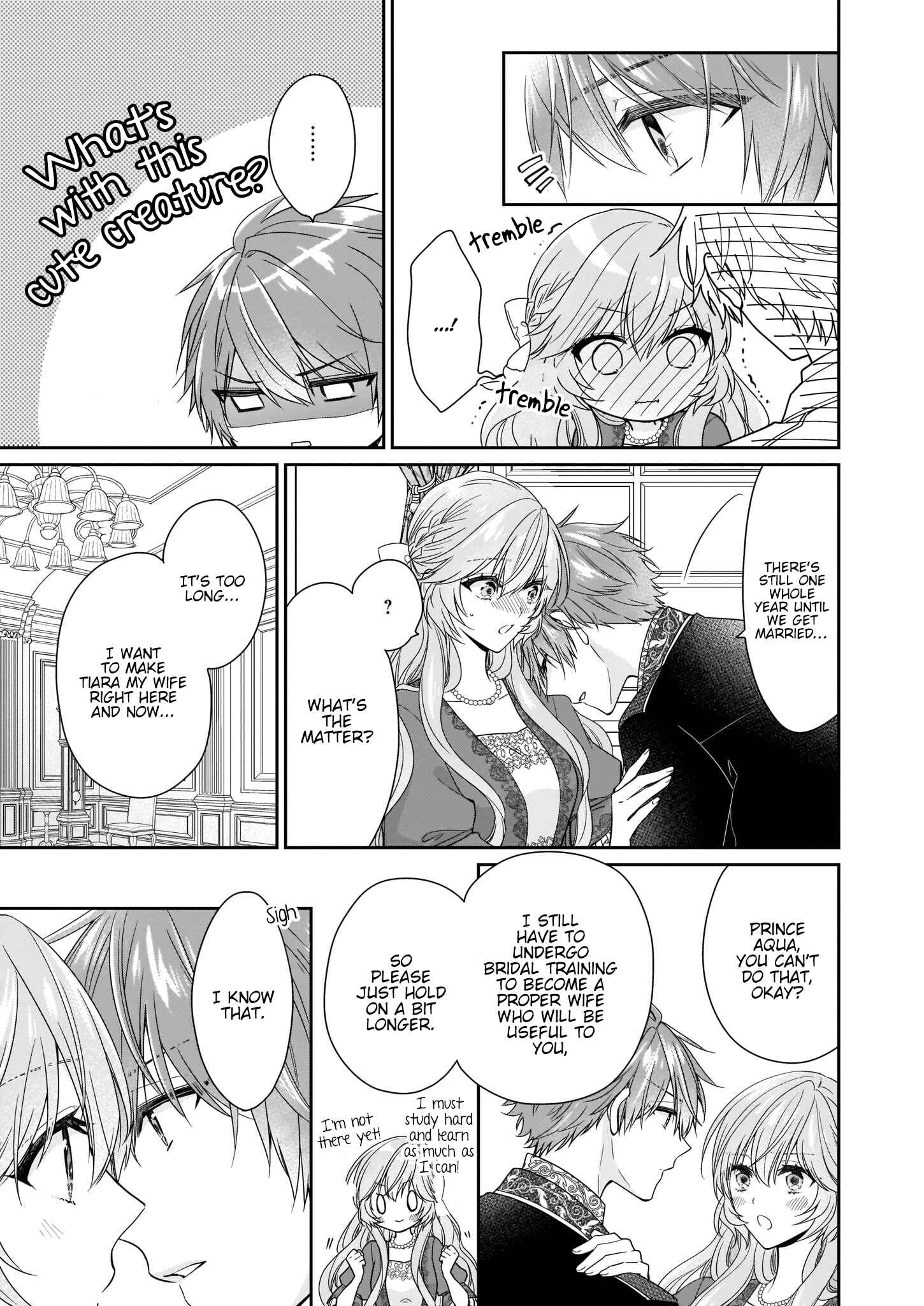 Page 12 Chapter 14 Akuyaku Reijou wa Ringoku no Outaishi ni Dekiaisareru