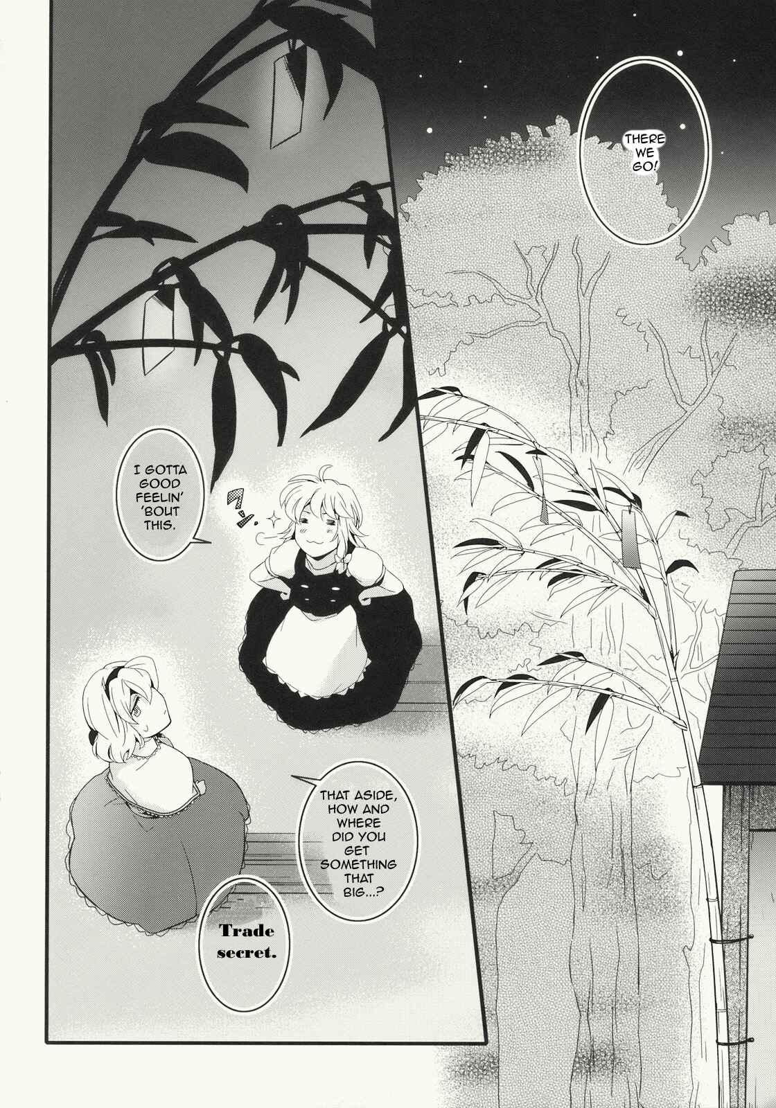 Page 13 Chapter Unknown_7fa7 Touhou - Hoshi ni Negai o, Anata ni Watashi o. (Doujinshi)