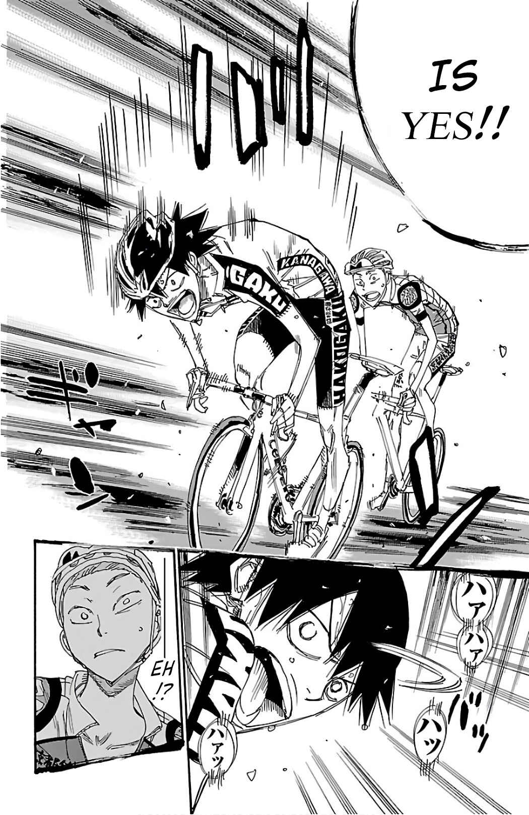 Page 15 Chapter 487 Yowamushi Pedal