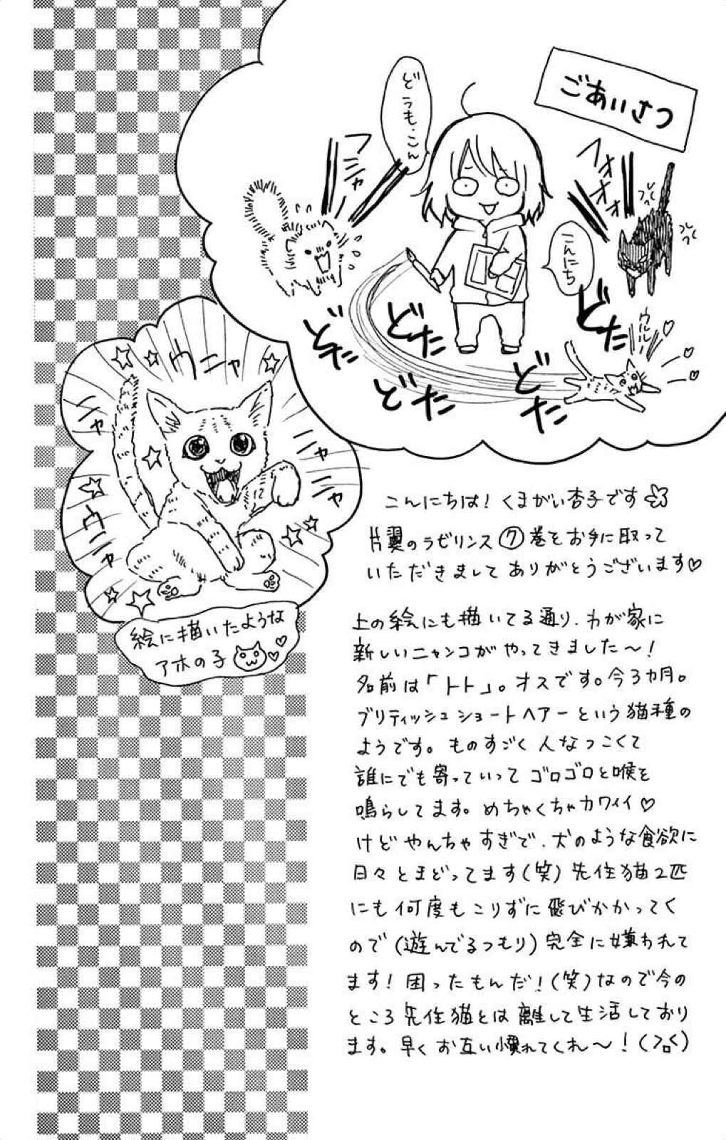 Page 43 Chapter 36 Katayoku no Labyrinth