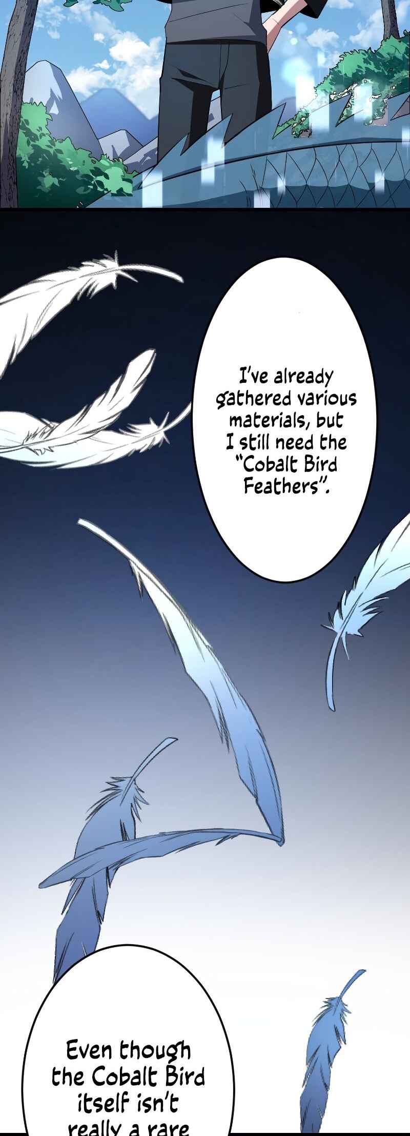 Page 30 Chapter 6 The Unparalleled Hidden Rank Equipment