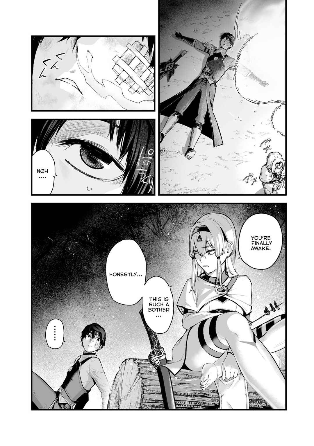 Page 15 Chapter 29 Boushoku-Hi no Ken