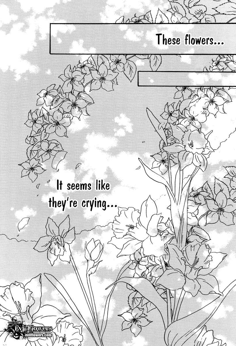 Page 7 Chapter 2 Shade