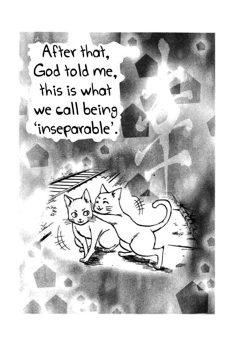 Page 11 Chapter 16 Fuku Neko