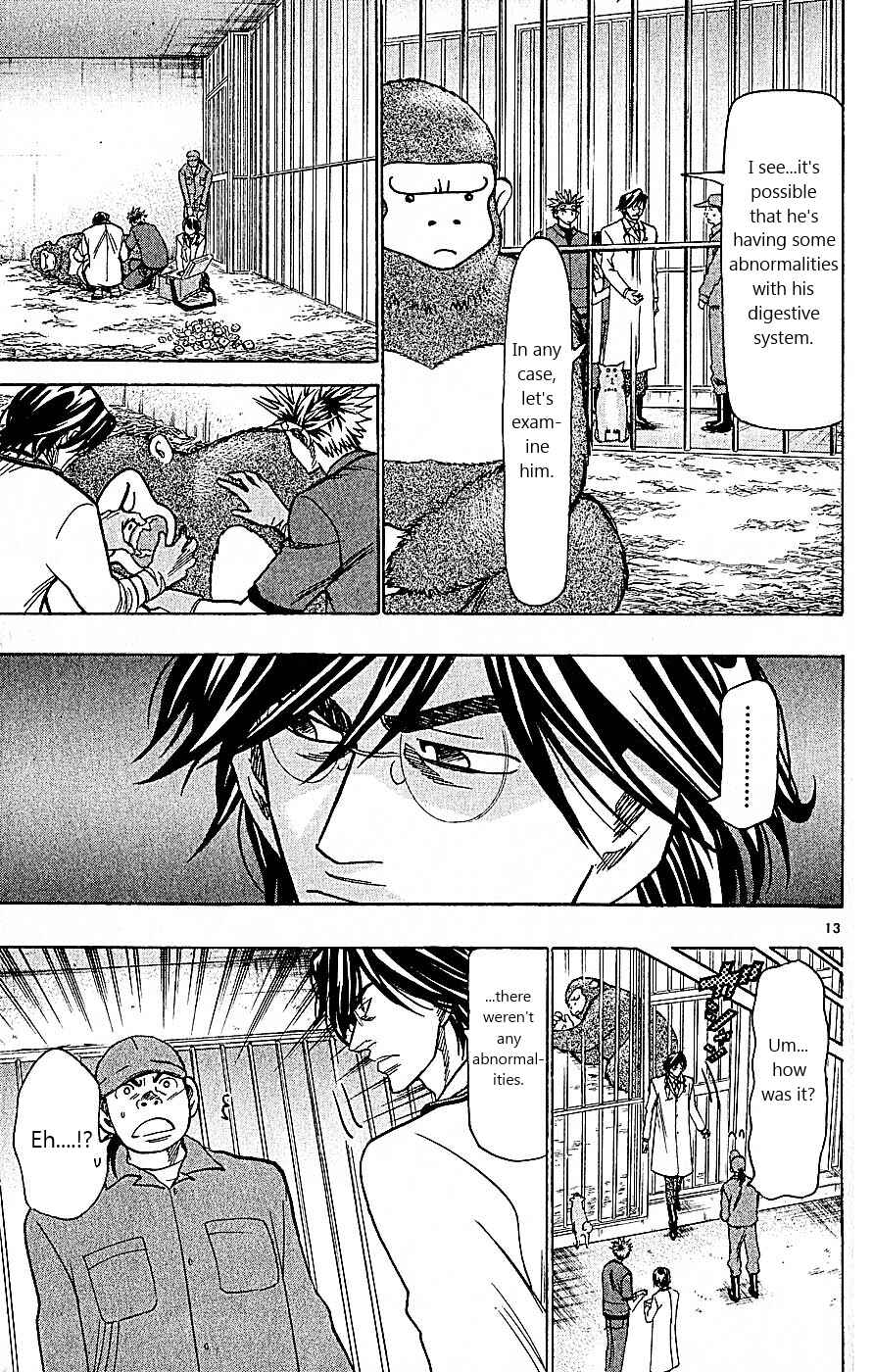 Page 13 Chapter 102 Wild Life
