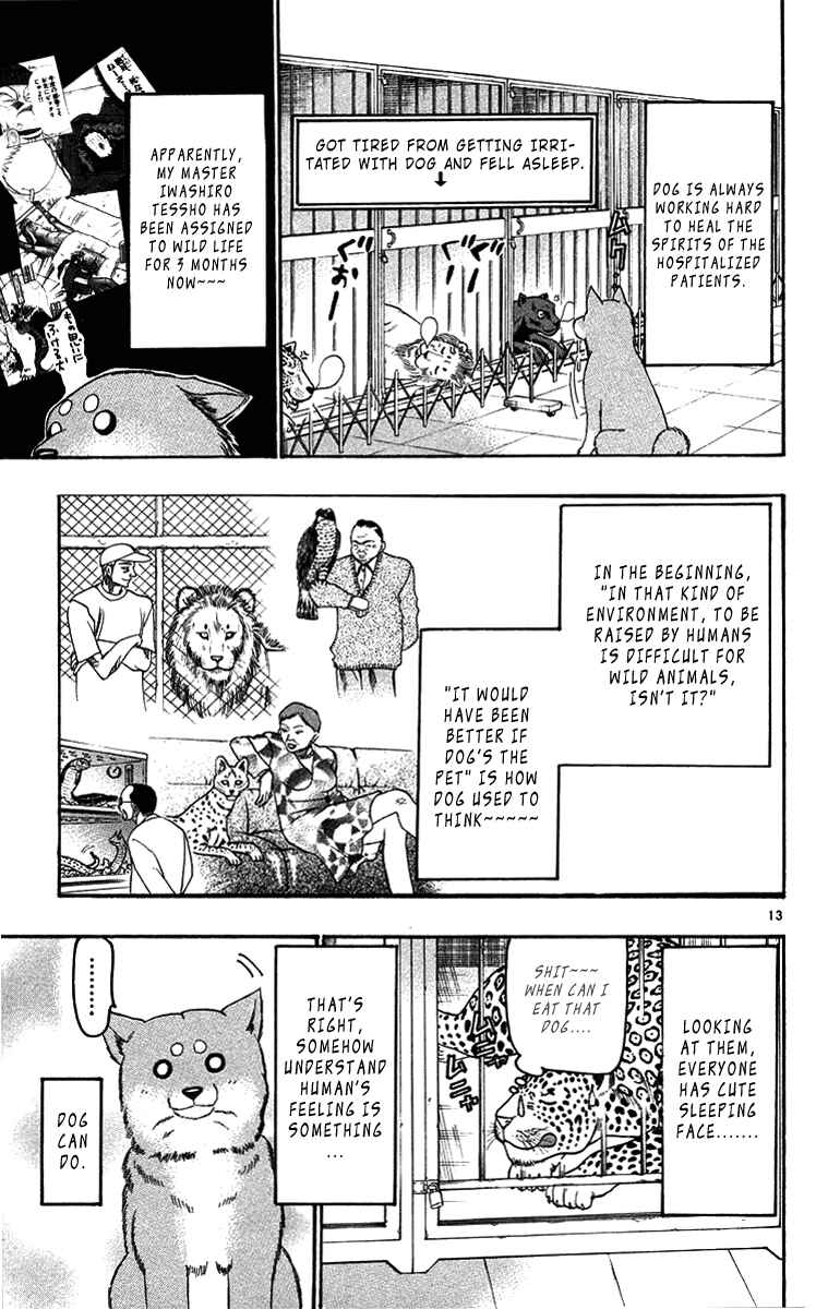Page 13 Chapter 32 Wild Life